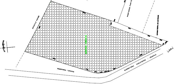 plano de la curva